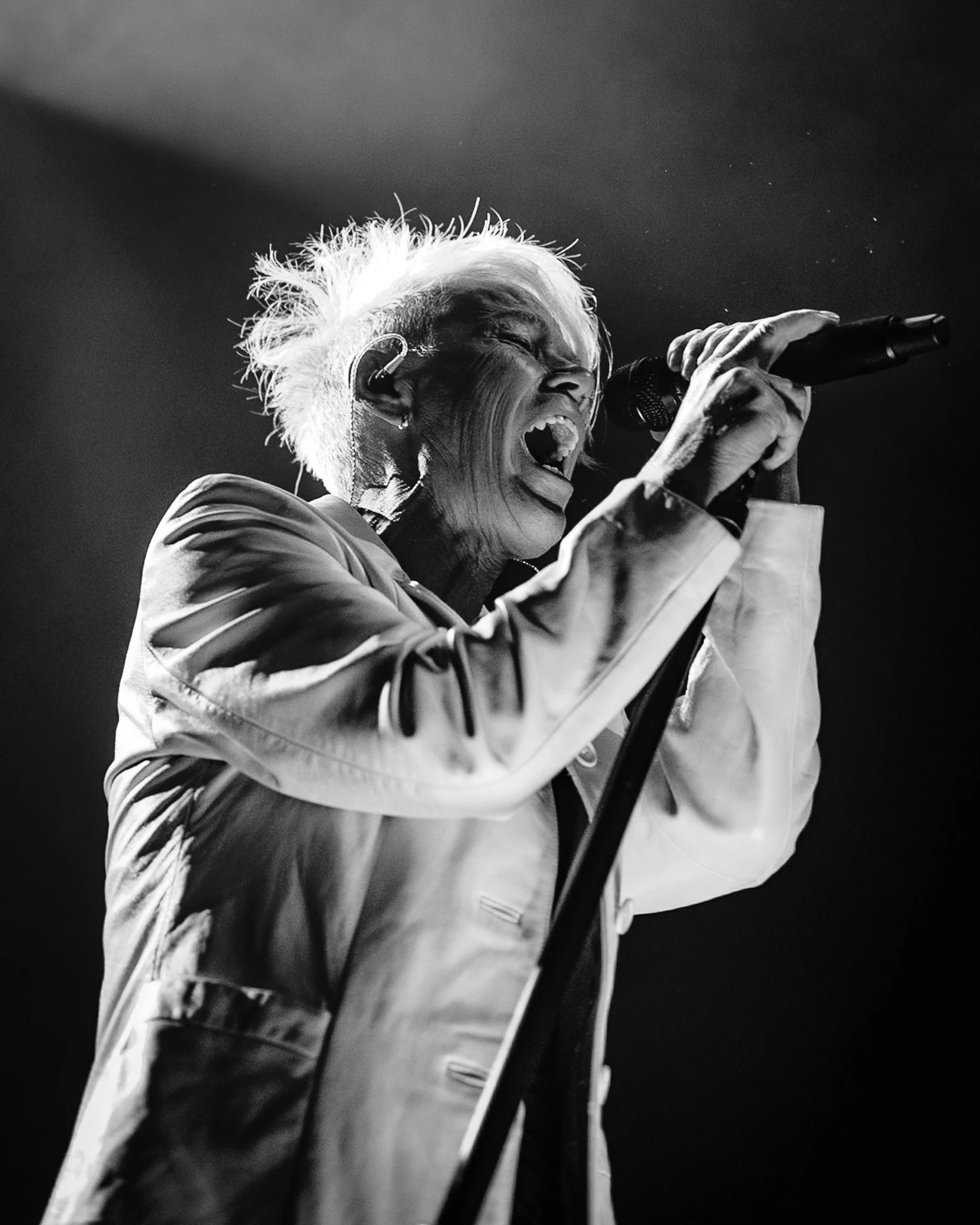 Stabbing Westward performing live, photograph 2