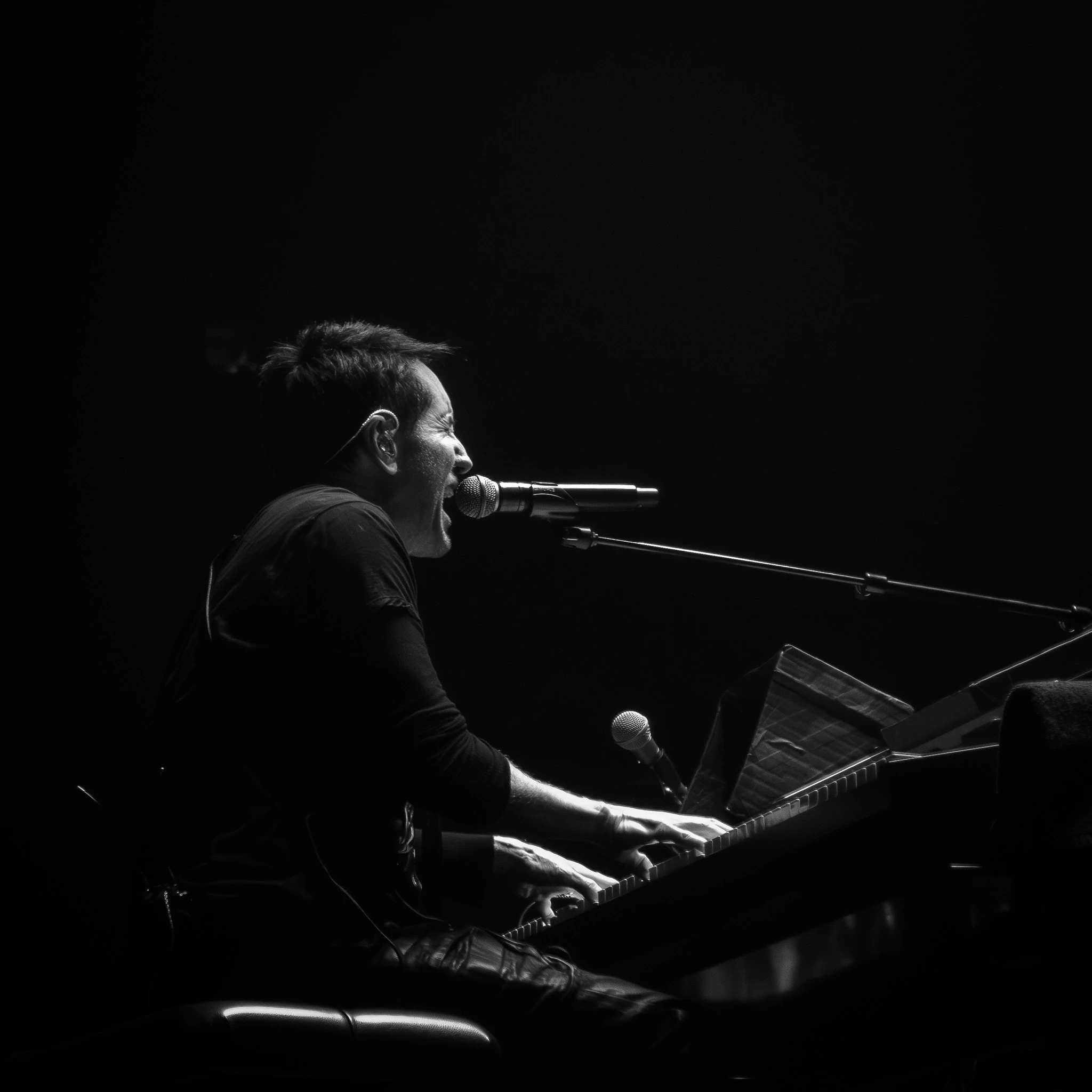 Nine Inch Nails performing live, photograph 2
